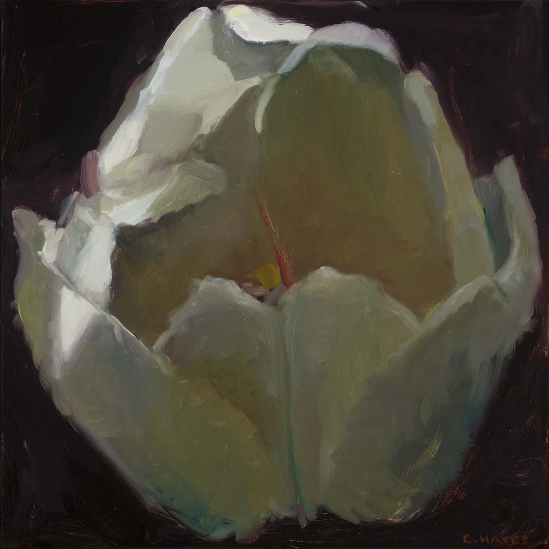 Tulip #20