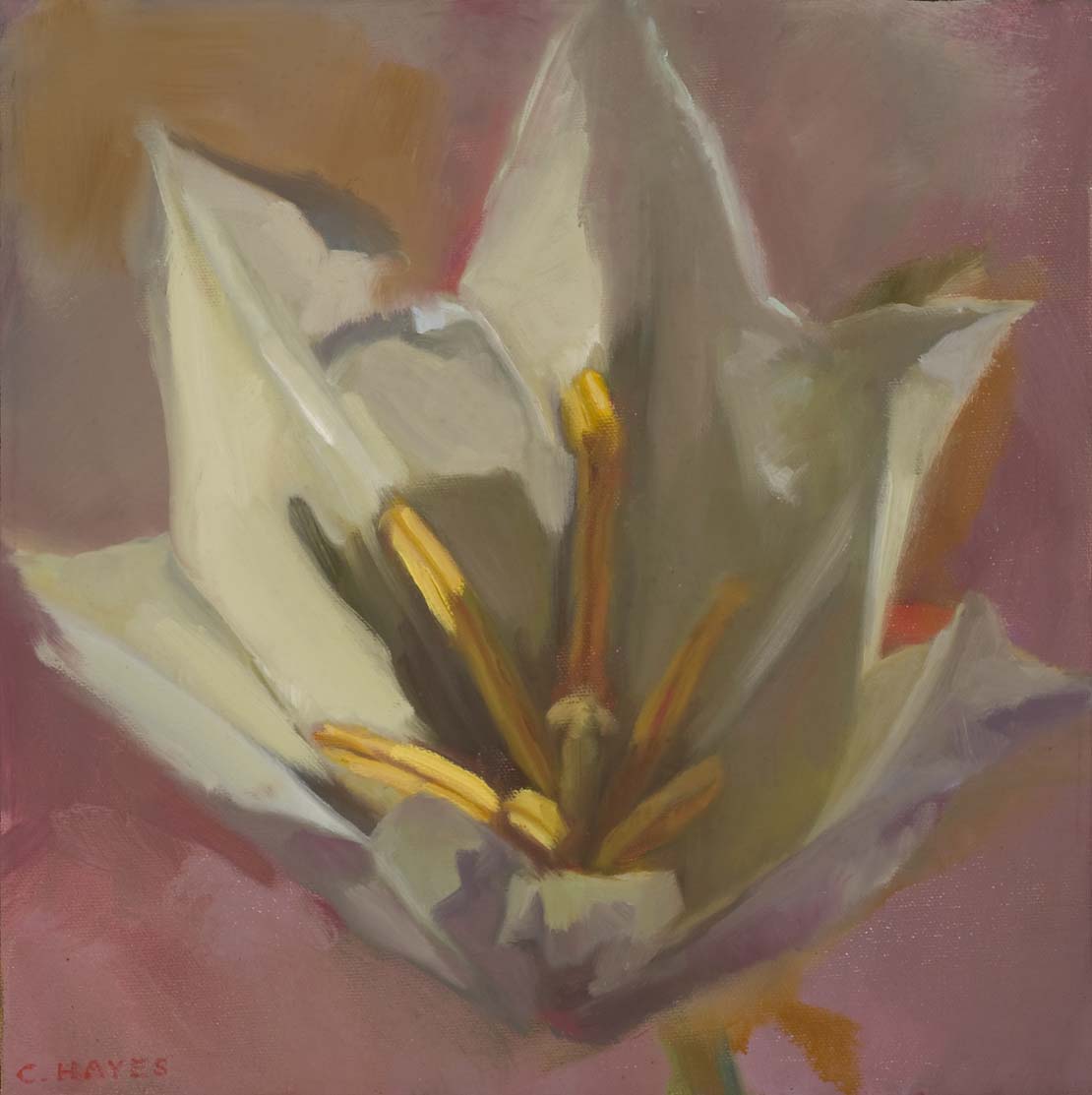 Tulip #38